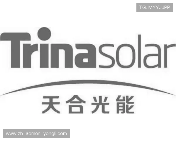 永利集团304官网全面介绍永利集团304官方网站的最新资讯与服务指南